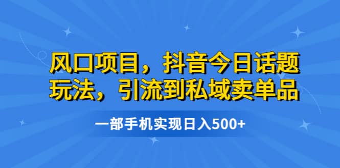 风口项目，抖音今日话题玩法，引流到私域卖单品，一部手机实现日入500-领航创业网