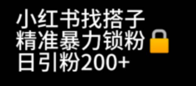 小红书找搭子暴力精准锁粉 引流日引200 精准粉-领航创业网