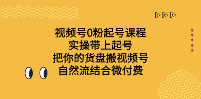 视频号0粉起号课程 实操带上起号 把你的货盘搬视频号 自然流结合微付费-领航创业网