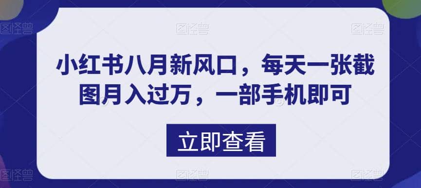 八月新风口，小红书虚拟项目一天收入1000 ，实战揭秘-领航创业网