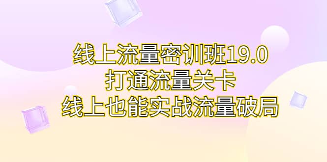 线上流量密训班19.0，打通流量关卡，线上也能实战流量破局-领航创业网