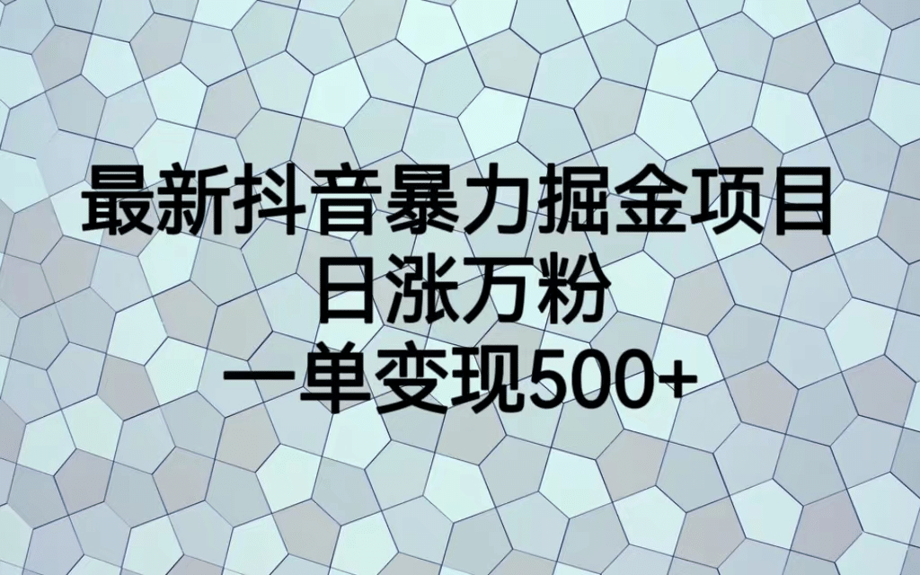 最火热的抖音暴力掘金项目，日涨万粉，多种变现方式，一单变现可达500-领航创业网