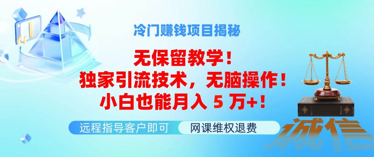冷门赚钱项目无保留教学！独家引流技术，无脑操作！小白也能月入5万+！-领航创业网
