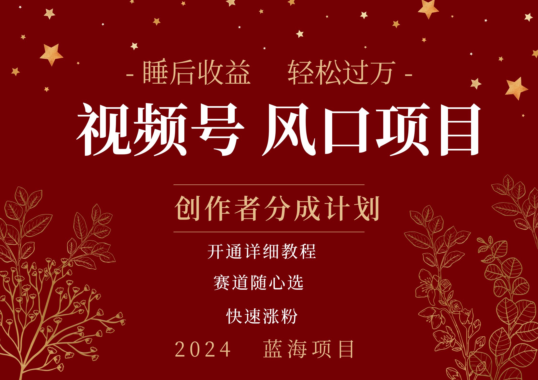 拥有睡眠收益的微信视频号大风口项目，轻松月入过万+，多赛道选择，可矩阵，玩法简单轻松上手-领航创业网