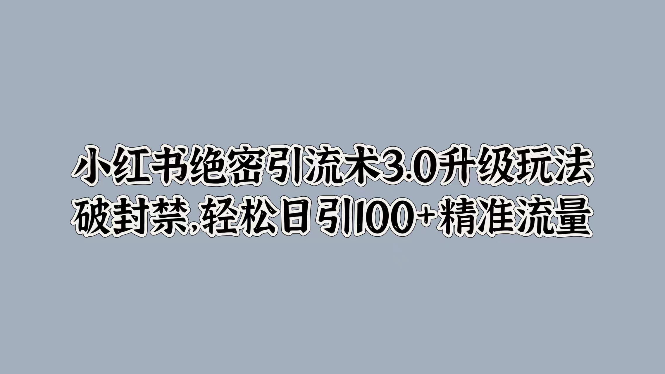 小红书绝密引流术3.0升级玩法，破封禁，轻松日引100+精准流量-领航创业网