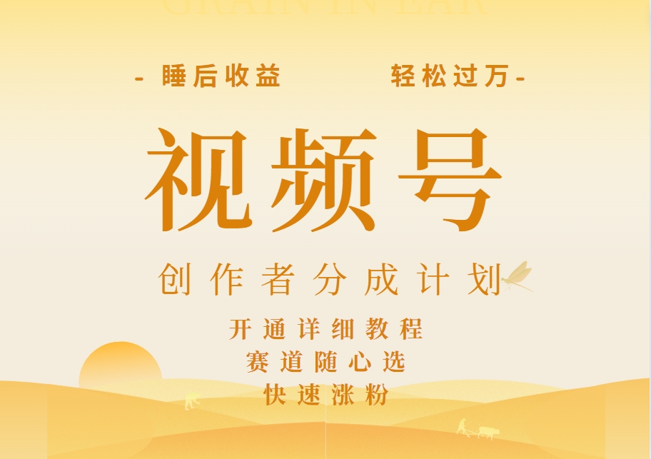 详解视频号创作者分成计划，暴力起号，可同步多平台，实现睡后收入2W+，看懂即可操作！-领航创业网
