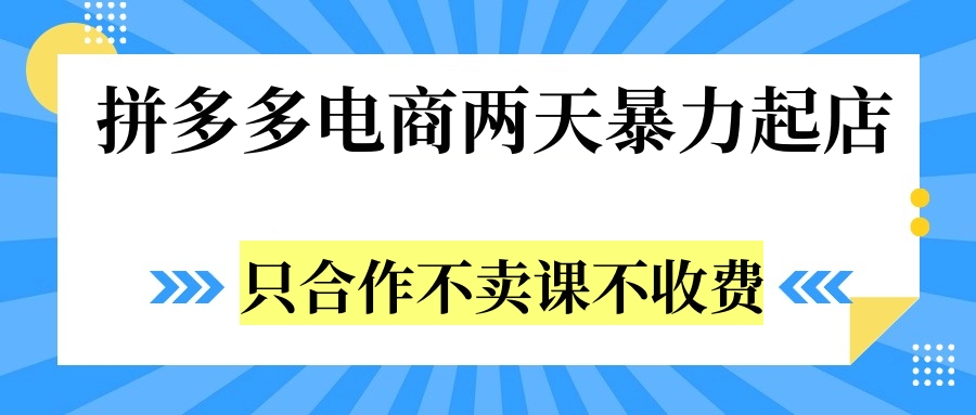 拼多多两天暴力起店，只合作不卖课不收费-领航创业网