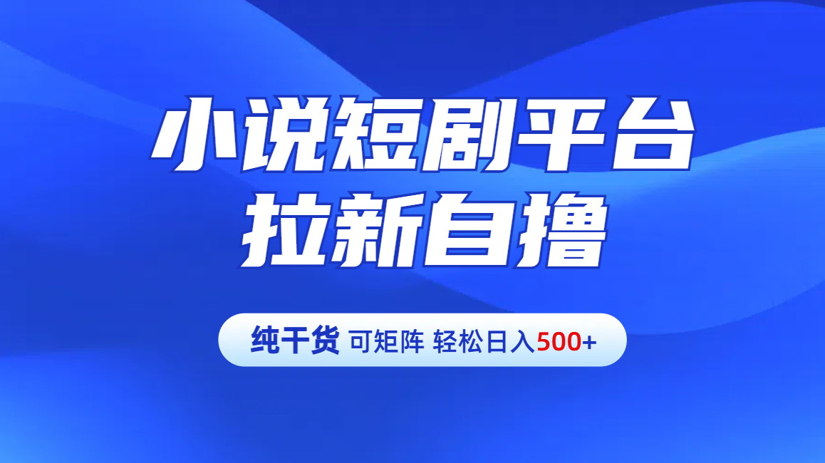 【纯干货】小说短剧平台拉新自撸玩法详解-单人轻松日入500+-领航创业网