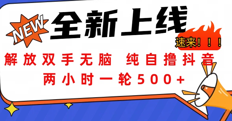 解放双手无脑 纯自撸抖音 两小时一轮500+-领航创业网