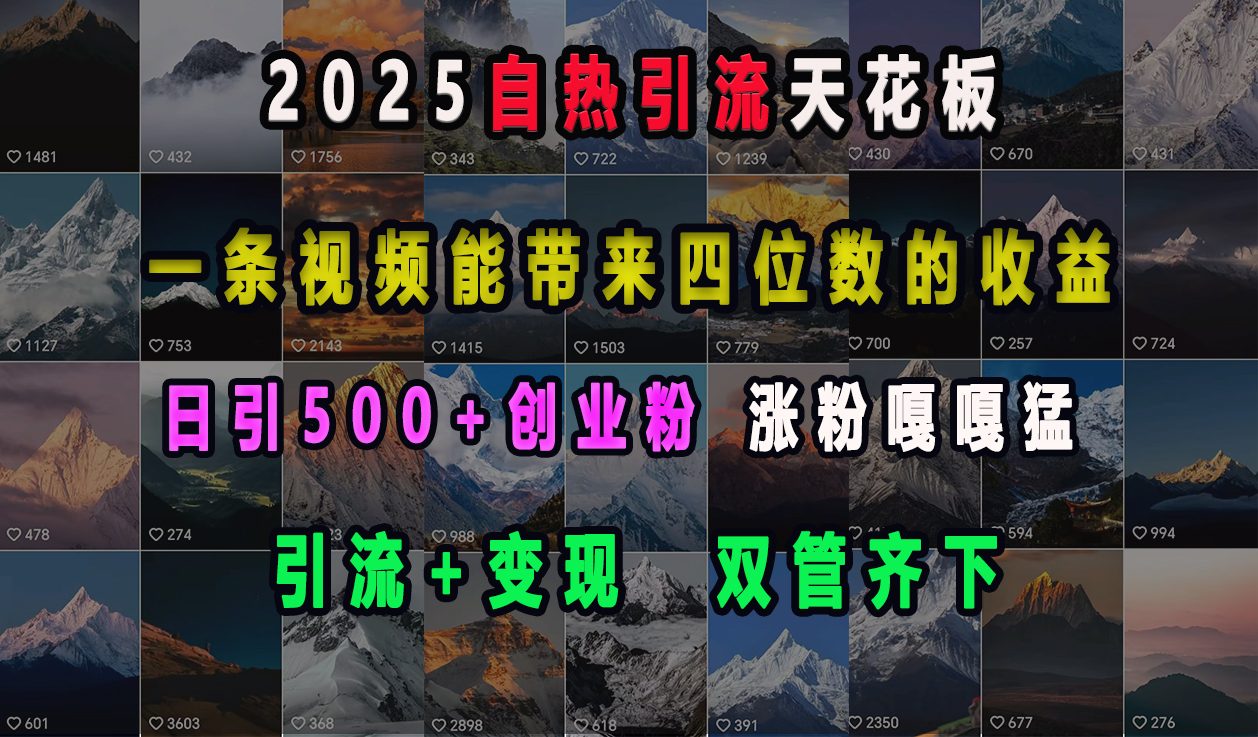 2025自热引流天花板，一条视频能带来四位数的收益，引流+变现双管齐下，日引500+创业粉，涨粉嘎嘎猛-领航创业网