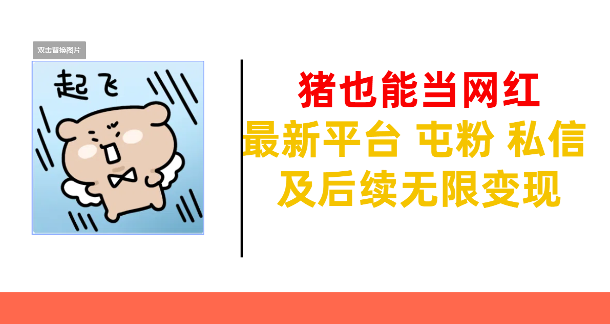 猪也能当网红-最新平台 屯粉 交流 私信 及后续无限变现-领航创业网