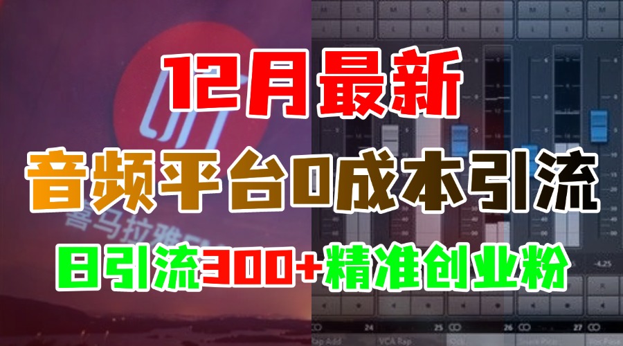 12月最新：音频平台0成本引流，日引300+精准创业粉-领航创业网