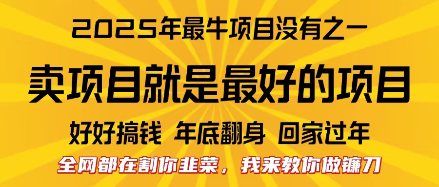 全网都在割你韭菜，我来教你做镰刀。卖项目就是最好的项目，2025年最牛互联网项目-领航创业网