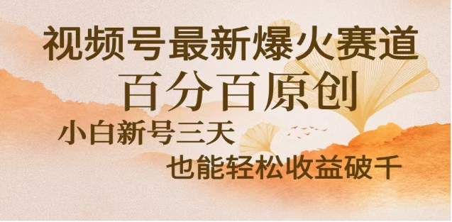 视频号独家玩法，老年养生赛道，无脑搬运爆款视频，日入2000+-领航创业网