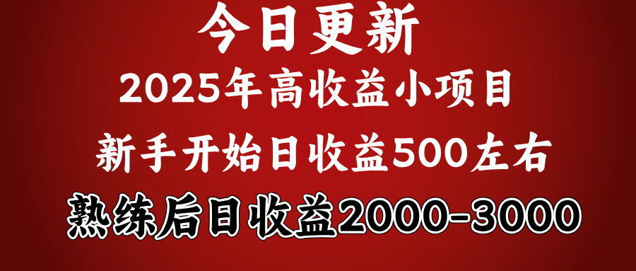 好项目一眼就能看出来，日收益1000，长久可做，2025拼的就是我比你勤奋-领航创业网