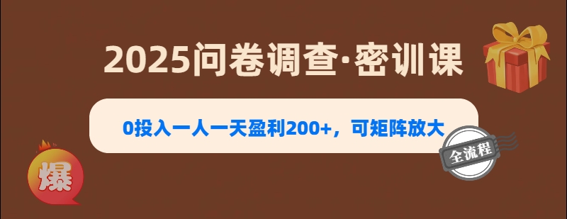 2025《问卷调查》0投入一人一天盈利200+，可矩阵放大-领航创业网