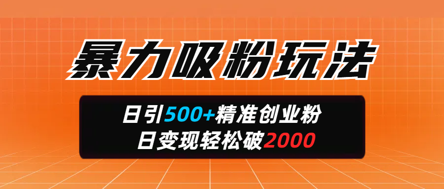 暴力吸粉玩法，日引500+精准创业粉，日变现轻松破2000-领航创业网