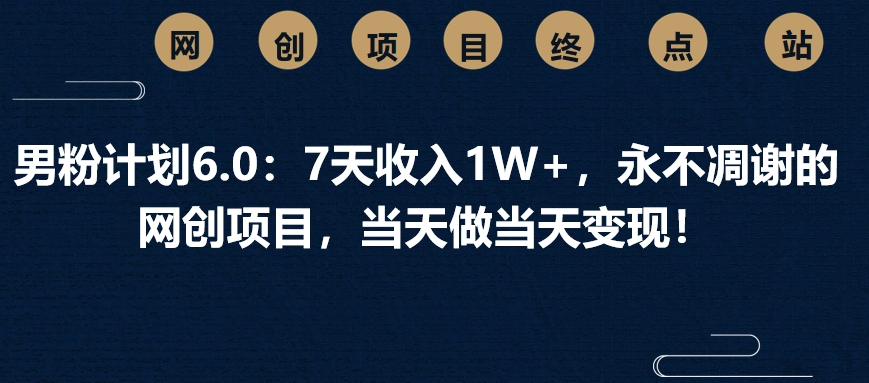 男粉计划6.0：7天收入1W+，永不凋谢的网创项目，当天做当天变现！-领航创业网