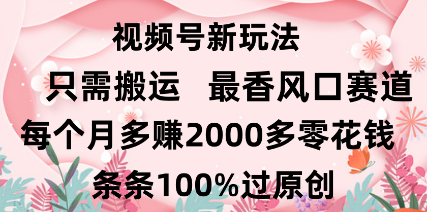 日入2000+，条条100%过原创，视频号最香风口赛道，小白轻松上手-领航创业网