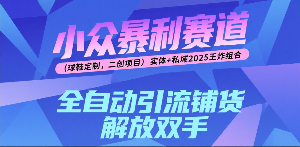 楠—小众暴利赛道（球鞋定制，二创项目）实体+私域2025王炸组合-领航创业网