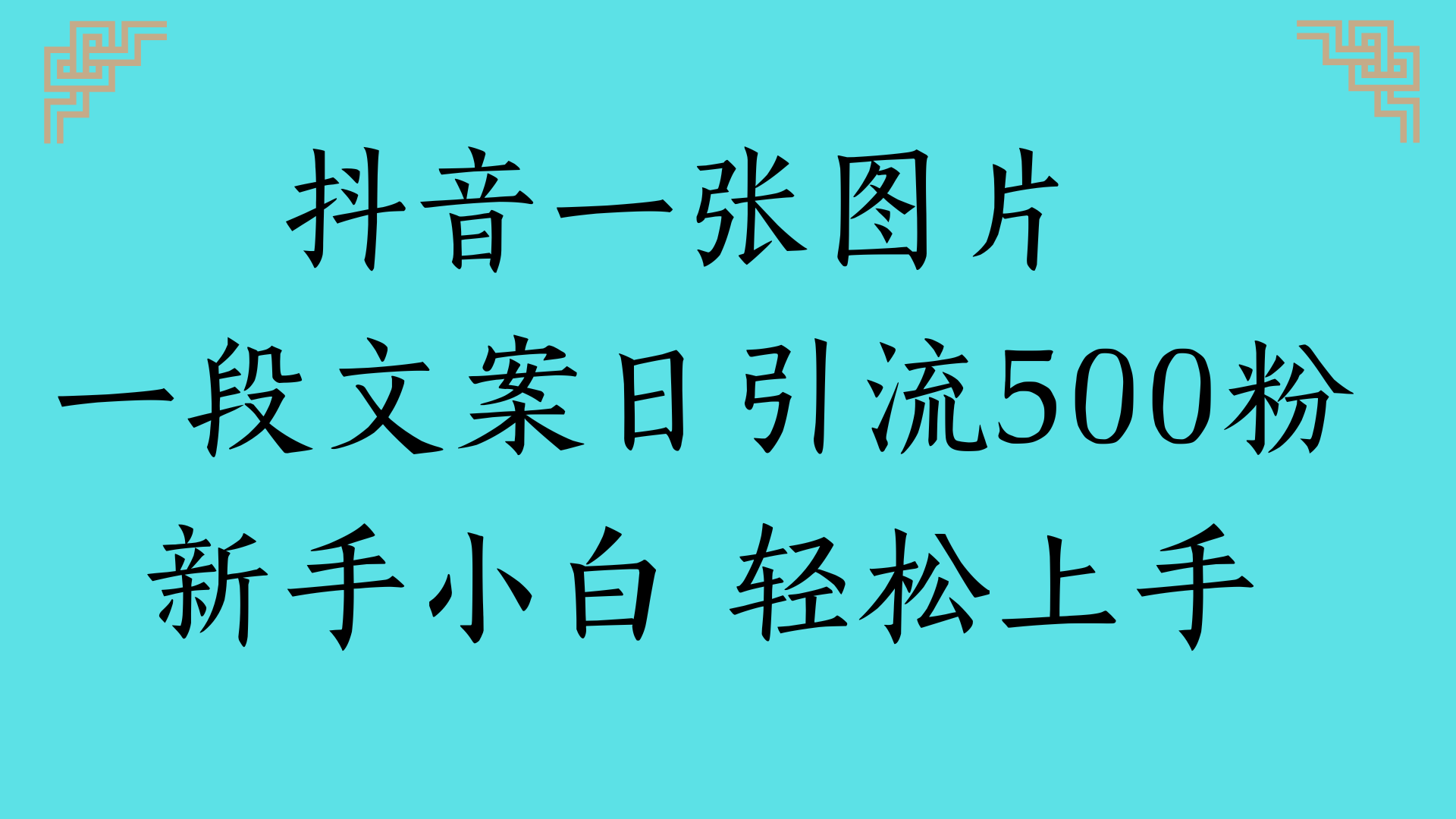 抖音一张图片 一段文案日引流500粉新手小白 轻松上手-领航创业网