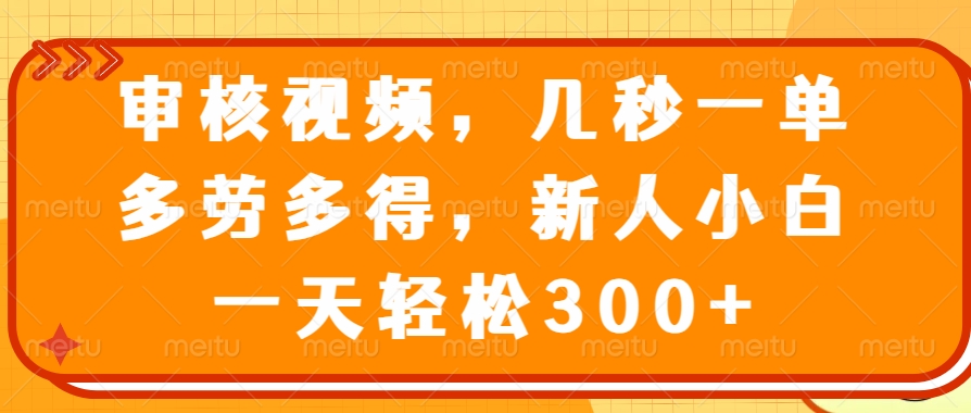 视频审核员，几秒一单，多劳多得，新人小白一天轻松300+-领航创业网