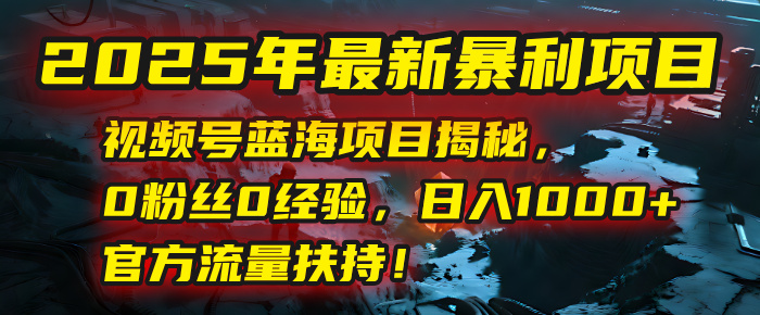 2025年最新暴利项目：视频号蓝海项目揭秘，0粉丝0经验，日入1000+，官方流量扶持！-领航创业网