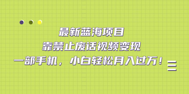 最新蓝海项目，靠禁止废话视频变现，一部手机，小白轻松月入过万！-领航创业网