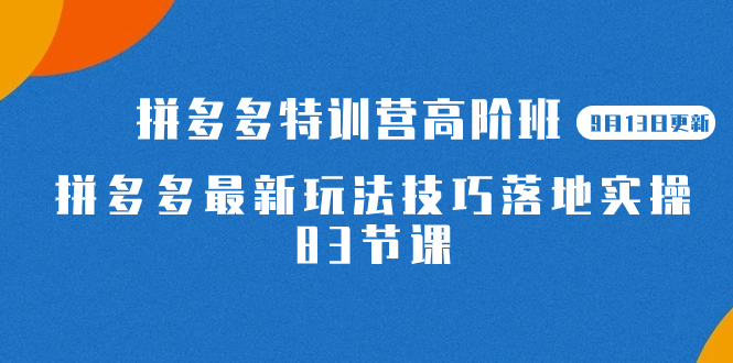 2023拼多多·特训营高阶班【9月13日更新】拼多多最新玩法技巧落地实操-83节-领航创业网