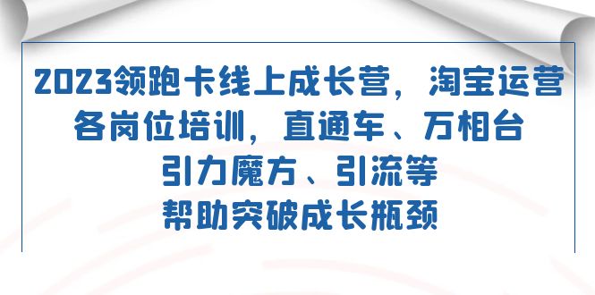 2023领跑·卡 线上成长营 淘宝运营各岗位培训 直通车 万相台 引力魔方 引流-领航创业网