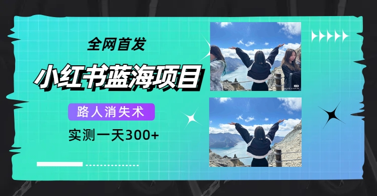 全网首发，小红书蓝海项目，路人消失术，实测一天300 （教程 工具）-领航创业网