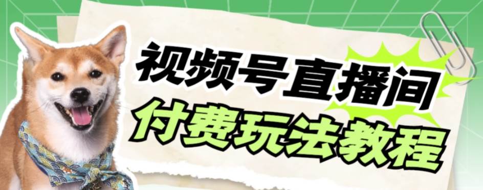 视频号美女付费无人直播，轻松日入500 【详细玩-领航创业网