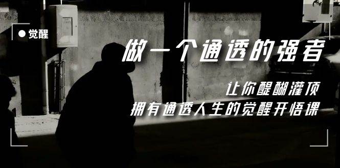 觉醒-做一个通透强者，让你醍醐灌顶，拥有通透人生，掌握强大的秘密-领航创业网