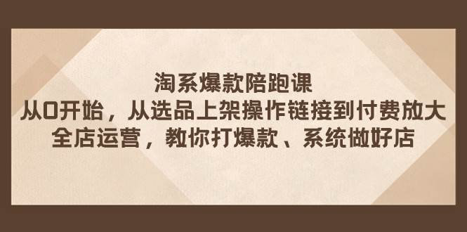 淘系爆款陪跑课 从选品上架操作链接到付费放大 全店运营 打爆款 系统做好店-领航创业网
