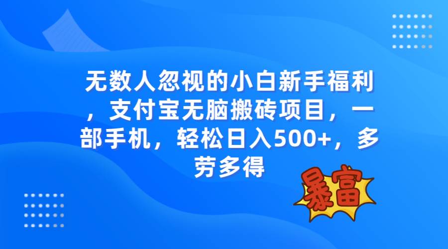 无数人忽视的项目，支付宝无脑搬砖项目，一部手机即可操作，轻松日入500-领航创业网