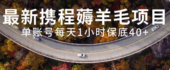 最新携程薅羊毛项目，单账号每天1小时保底收益40 ，可矩阵操作-领航创业网