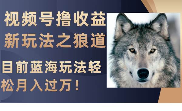 视频号撸收益新玩法之狼道，目前蓝海玩法轻松月入过万！-领航创业网