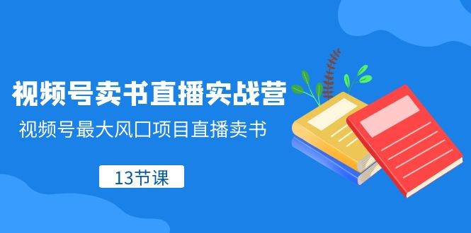 视频号-卖书直播实战营，视频号最大风囗项目直播卖书（13节课）-领航创业网