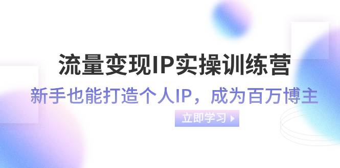 流量变现-IP实操训练营：新手也能打造个人IP，成为百万博主（46节课）-领航创业网