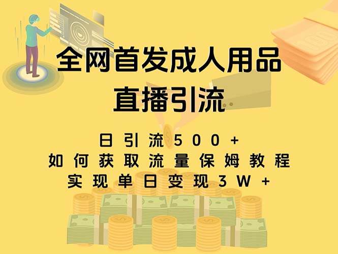最新全网独创首发，成人用品直播引流获客暴力玩法，单日变现3w保姆级教程-领航创业网