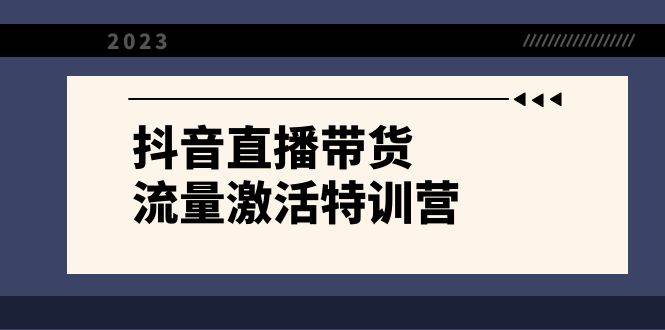 抖音直播带货-流量激活特训营，入行新手小白主播必学（21节课 资料）-领航创业网