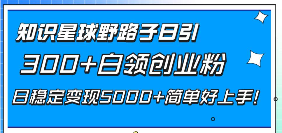 知识星球野路子日引300 白领创业粉，日稳定变现5000 简单好上手！-领航创业网