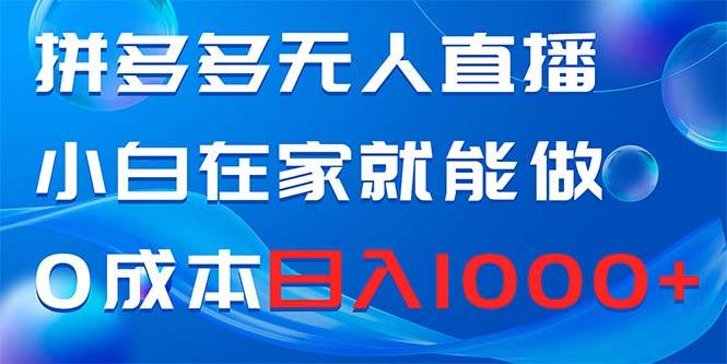 拼多多无人直播，小白在家就能做，0成本日入1000+-领航创业网
