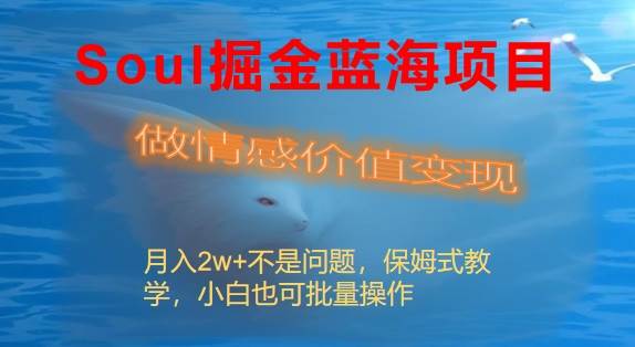 Soul掘金蓝海项目细分赛道，做情感价值变现，月入2w+不是问题-领航创业网