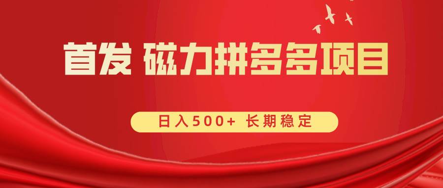 首发 磁力拼多多自撸  日入500+-领航创业网