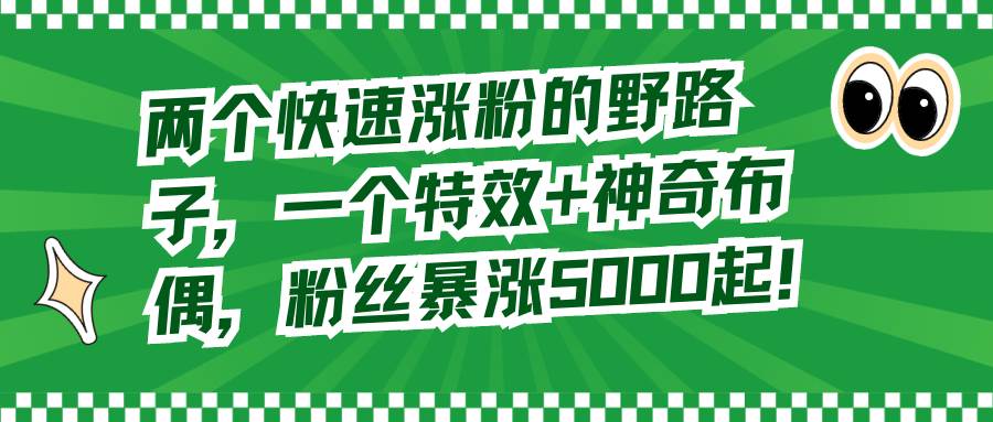 两个快速涨粉的野路子，一个特效+神奇布偶，粉丝暴涨5000起！-领航创业网