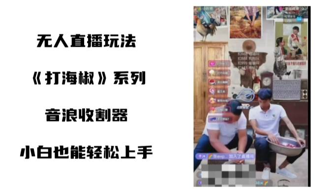 打海椒无人直播整蛊项目，小白轻松上手撸音浪收割器（教程+工具+素材）-领航创业网