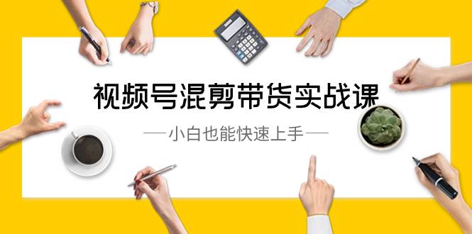 视频号-混剪带货实战课，小白也能快速上手（10节课）-领航创业网