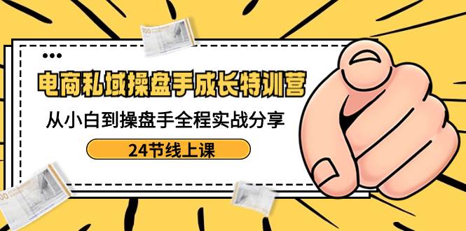 电商私域-操盘手成长特训营：从小白到操盘手全程实战分享-24节线上课-领航创业网