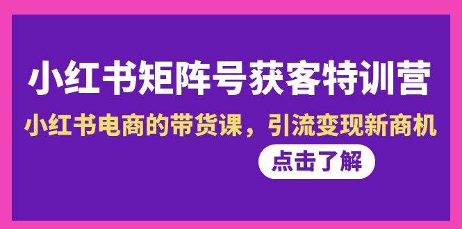 小红书-矩阵号获客特训营-第10期，小红书电商的带货课，引流变现新商机-领航创业网